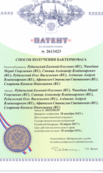 Патент 2613423